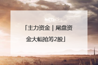 主力资金｜尾盘资金大幅抢筹2股