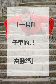 一片叶子里的共富脉络