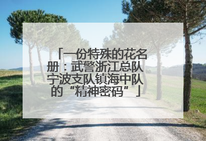 一份特殊的花名册：武警浙江总队宁波支队镇海中队的“精神密码”