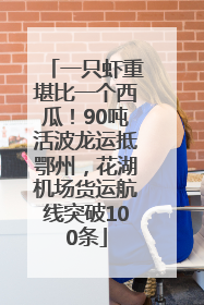 一只虾重堪比一个西瓜！90吨活波龙运抵鄂州，花湖机场货运航线突破100条
