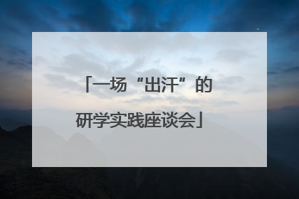 一场“出汗”的研学实践座谈会