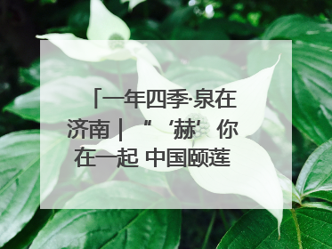 一年四季·泉在济南｜“‘赫’你在一起 中国颐莲喷雾节”盛大开启 共赴水润之约
