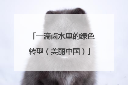 一滴卤水里的绿色转型（美丽中国）