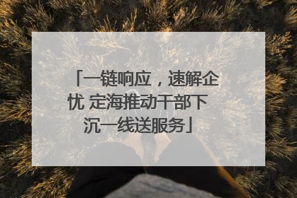 一链响应，速解企忧 定海推动干部下沉一线送服务