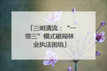 三明清流：“一带三”模式破局林业执法困境