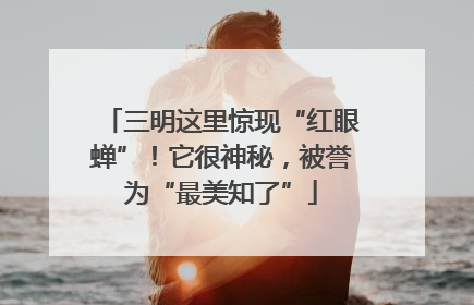 三明这里惊现“红眼蝉”！它很神秘，被誉为“最美知了”