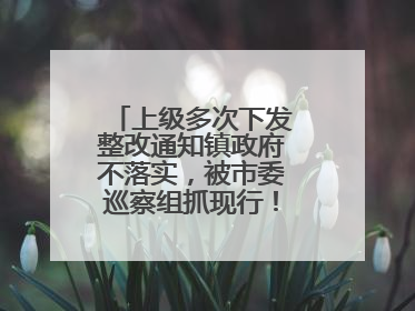 上级多次下发整改通知镇政府不落实，被市委巡察组抓现行！吉林一副镇长受党内警告处分