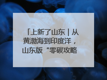上新了山东｜从黄渤海到印度洋，山东版“零碳攻略”有多能打？