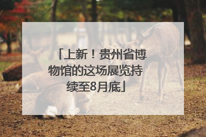上新！贵州省博物馆的这场展览持续至8月底