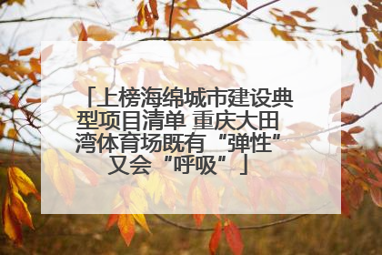 上榜海绵城市建设典型项目清单 重庆大田湾体育场既有“弹性”又会“呼吸”
