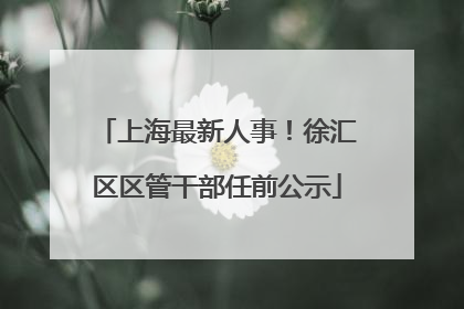 上海最新人事！徐汇区区管干部任前公示