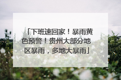 下班速回家！暴雨黄色预警！贵州大部分地区暴雨，多地大暴雨