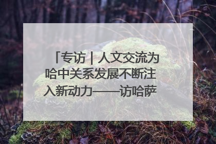 专访｜人文交流为哈中关系发展不断注入新动力——访哈萨克斯坦文化与信息部部长巴拉耶娃