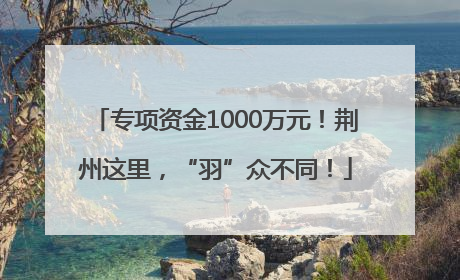 专项资金1000万元！荆州这里，“羽”众不同！