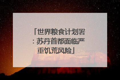 世界粮食计划署：苏丹首都面临严重饥荒风险