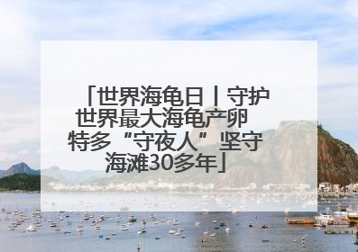 世界海龟日丨守护世界最大海龟产卵 特多“守夜人”坚守海滩30多年