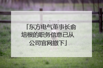 东方电气董事长俞培根的职务信息已从公司官网撤下