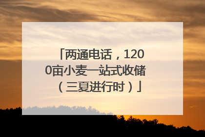 两通电话，1200亩小麦一站式收储（三夏进行时）