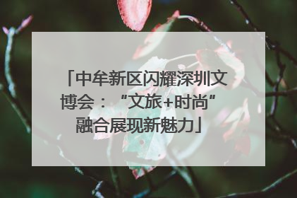 中牟新区闪耀深圳文博会：“文旅+时尚”融合展现新魅力