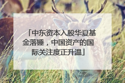 中东资本入股华夏基金落锤，中国资产的国际关注度正升温