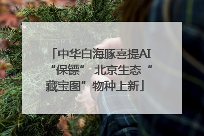 中华白海豚喜提AI“保镖” 北京生态“藏宝图”物种上新
