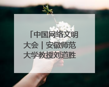 中国网络文明大会｜安徽师范大学教授刘道胜：“E”览徽风，构筑中华民族共有精神家园