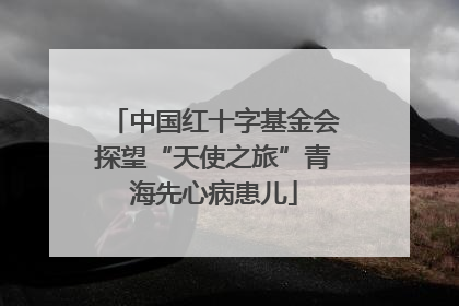 中国红十字基金会探望“天使之旅”青海先心病患儿