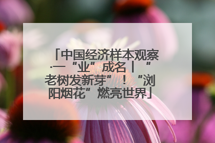 中国经济样本观察·一“业”成名丨“老树发新芽”！“浏阳烟花”燃亮世界