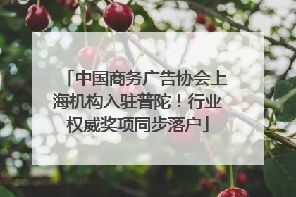 中国商务广告协会上海机构入驻普陀！行业权威奖项同步落户
