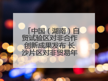中国（湖南）自贸试验区对非合作创新成果发布 长沙片区对非贸易年均增长141%
