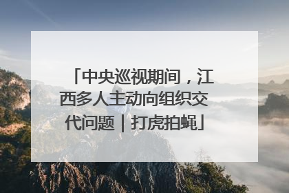 中央巡视期间，江西多人主动向组织交代问题｜打虎拍蝇