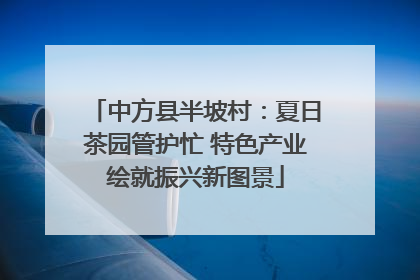 中方县半坡村：夏日茶园管护忙 特色产业绘就振兴新图景