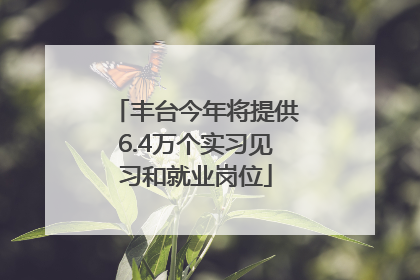 丰台今年将提供6.4万个实习见习和就业岗位