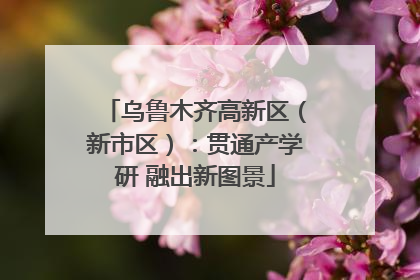 乌鲁木齐高新区（新市区）：贯通产学研 融出新图景