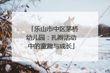 乐山市中区茅桥幼儿园：扎辫活动中的童趣与成长