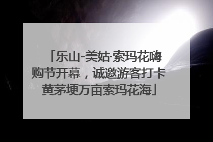 乐山-美姑·索玛花嗨购节开幕，诚邀游客打卡黄茅埂万亩索玛花海