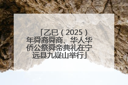 乙巳（2025）年舜裔舜商、华人华侨公祭舜帝典礼在宁远县九嶷山举行