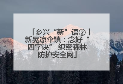 乡兴“新”语②丨新晃凉伞镇：念好“四字诀” 织密森林防护安全网