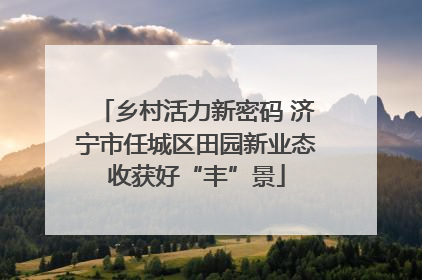 乡村活力新密码 济宁市任城区田园新业态收获好“丰”景