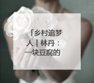 乡村追梦人｜林丹：一块豆腐的产业逆袭