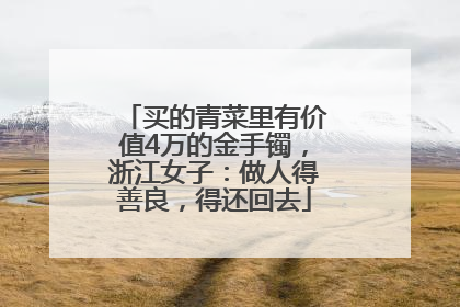 买的青菜里有价值4万的金手镯，浙江女子：做人得善良，得还回去