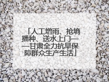 人工增雨、抢墒播种、送水上门——甘肃全力抗旱保障群众生产生活
