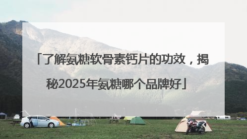 了解氨糖软骨素钙片的功效，揭秘2025年氨糖哪个品牌好