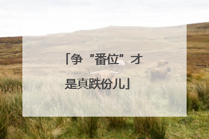 争“番位”才是真跌份儿