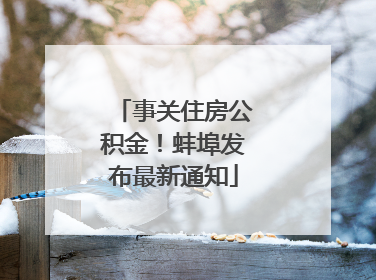 事关住房公积金！蚌埠发布最新通知