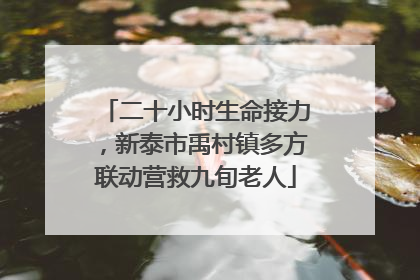 二十小时生命接力，新泰市禹村镇多方联动营救九旬老人