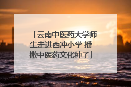 云南中医药大学师生走进西冲小学 播撒中医药文化种子