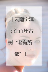 云南宁洱：让百年古树“老有所依”