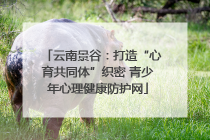 云南景谷：打造“心育共同体”织密 青少年心理健康防护网