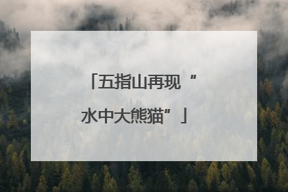 五指山再现“水中大熊猫”
